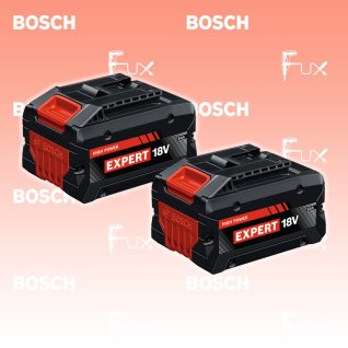 Bosch Expert 2x EXBA18V-80 Akkupack